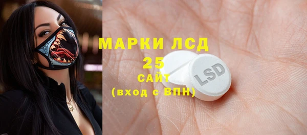прущие грибы Абинск