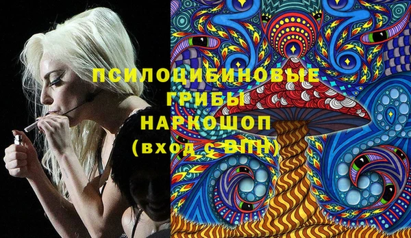 бутират Алексин