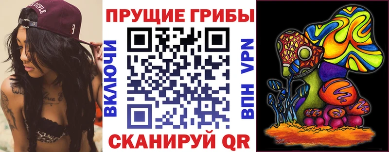 купить  цена  Аткарск  Псилоцибиновые грибы мухоморы 