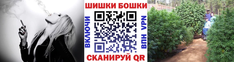 как найти наркотики Аткарск Бошки марихуана конопля